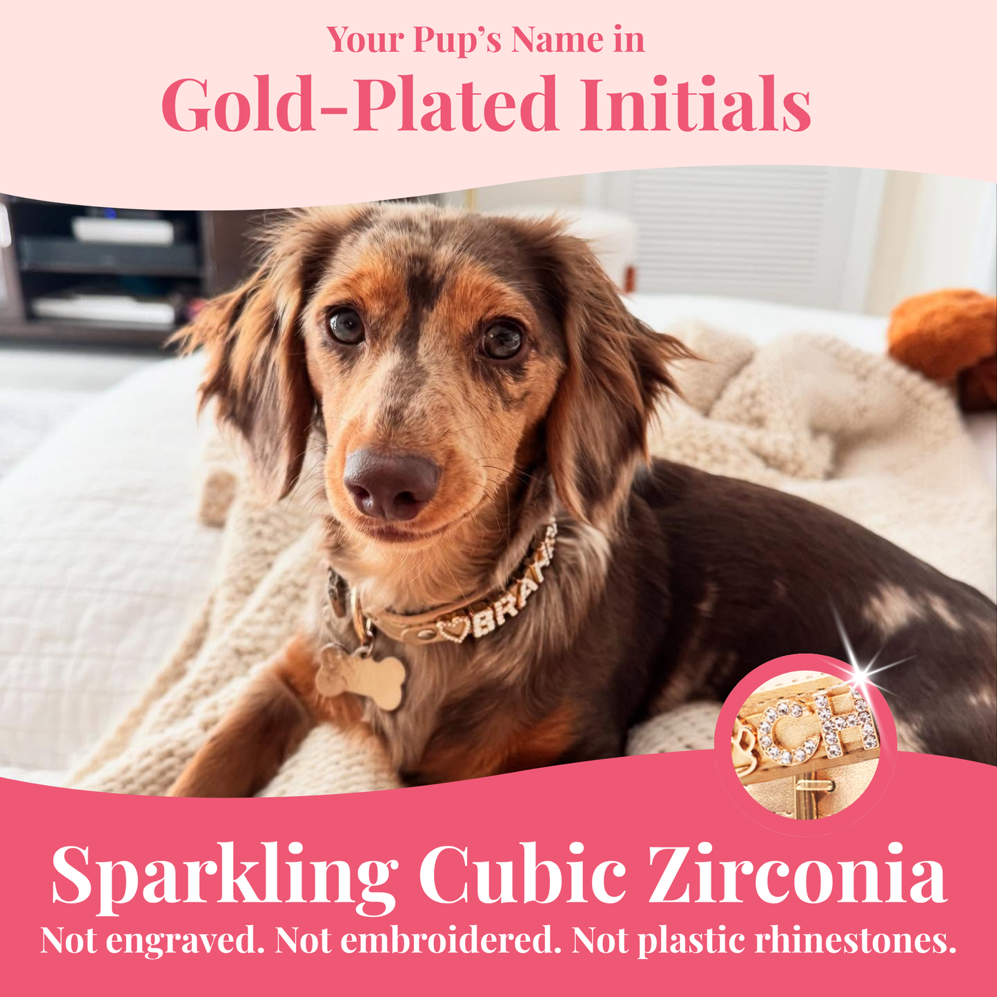 The Personalized Sparkle Collar
