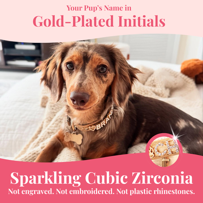 The Personalized Sparkle Collar