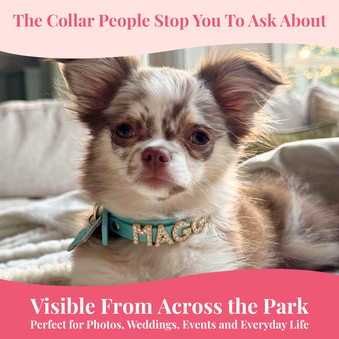 The Personalized Sparkle Collar