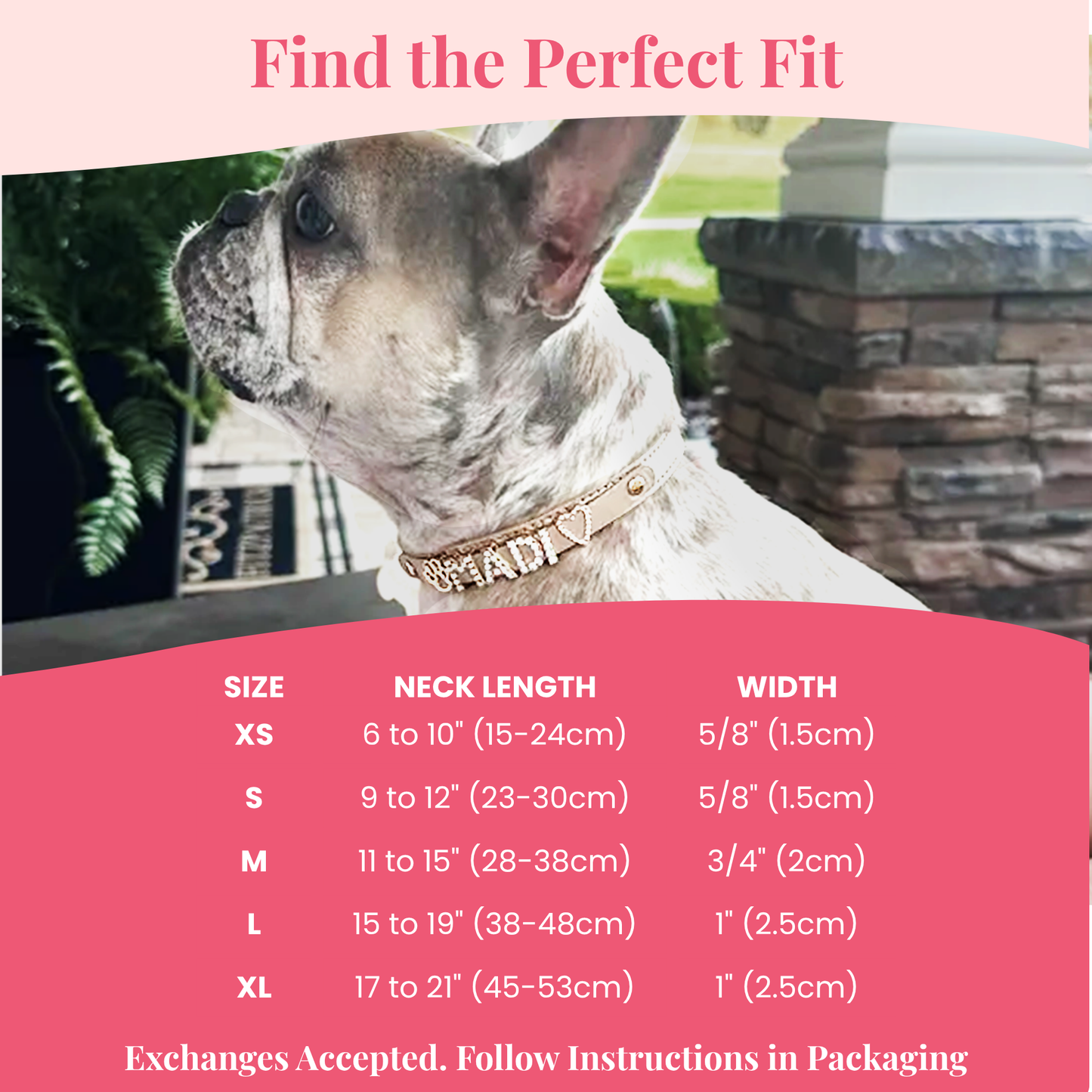 The Personalized Sparkle Collar