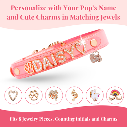 The Personalized Sparkle Collar