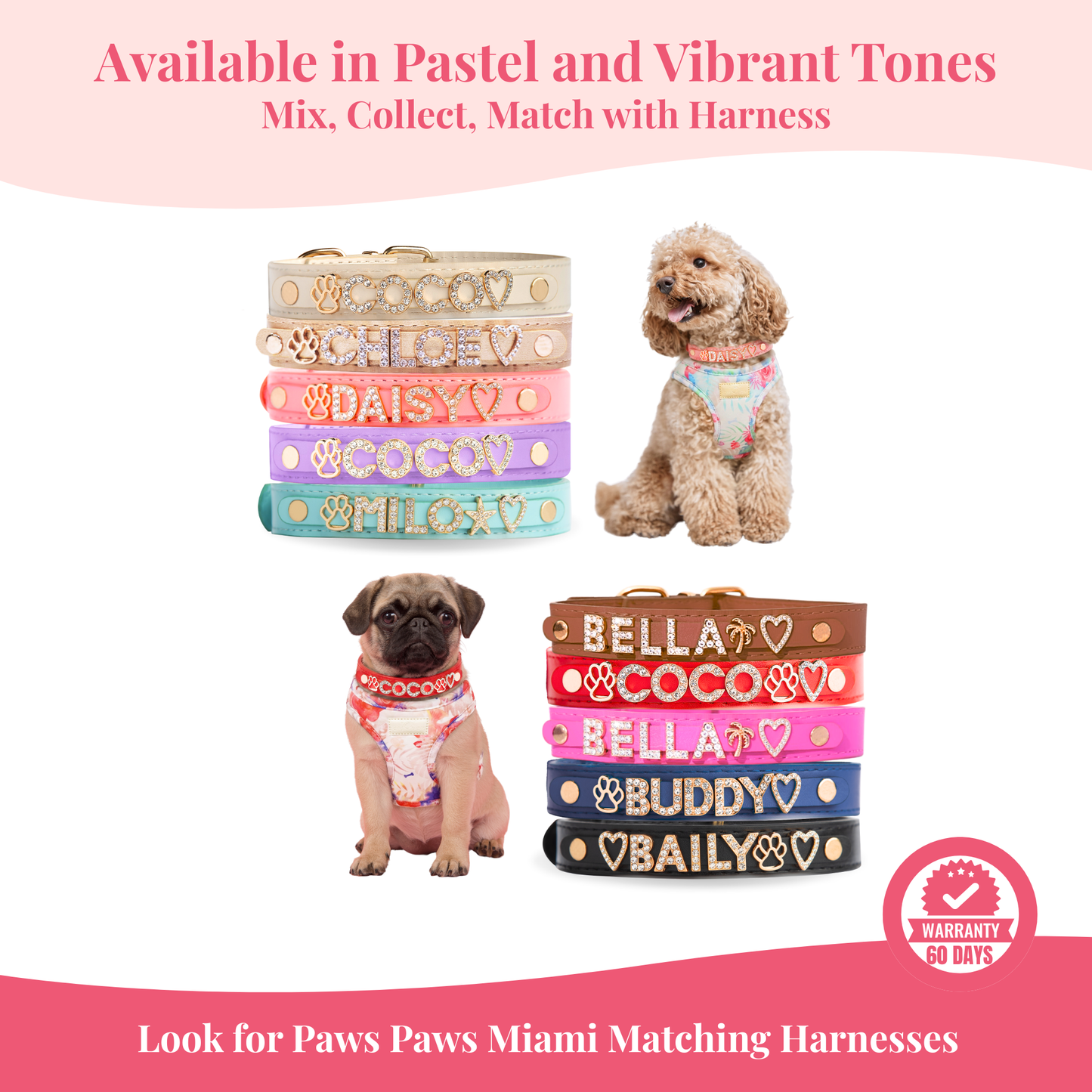 The Personalized Sparkle Collar