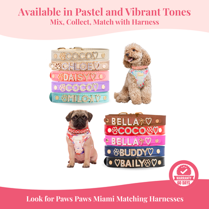 The Personalized Sparkle Collar