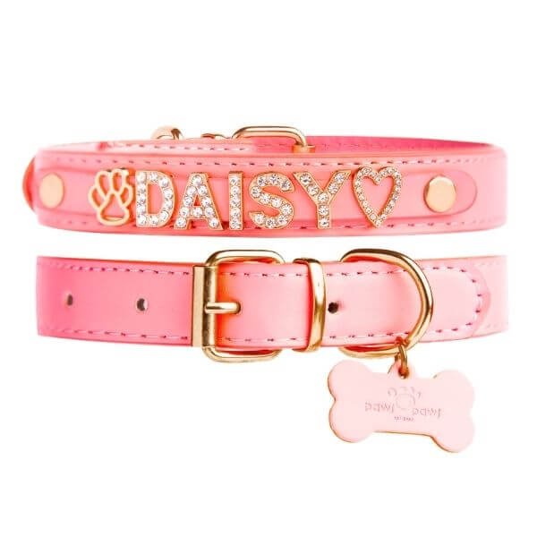 The Personalized Sparkle Collar