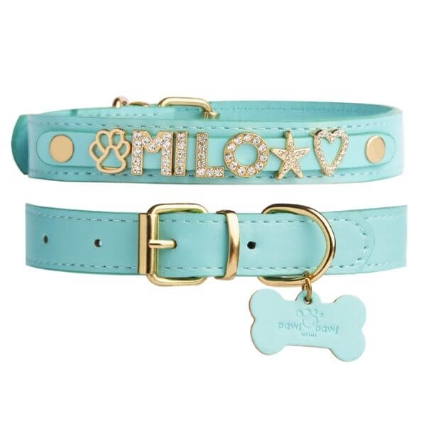 The Personalized Sparkle Collar
