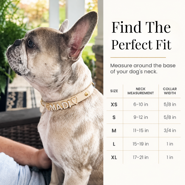 The Personalized Sparkle Collar