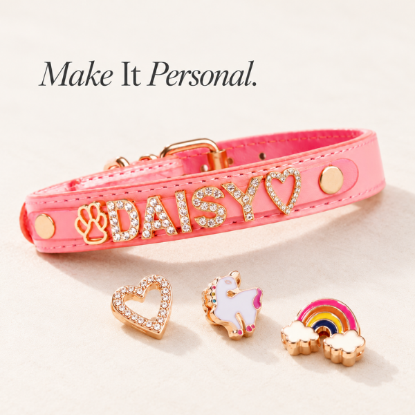 The Personalized Sparkle Collar