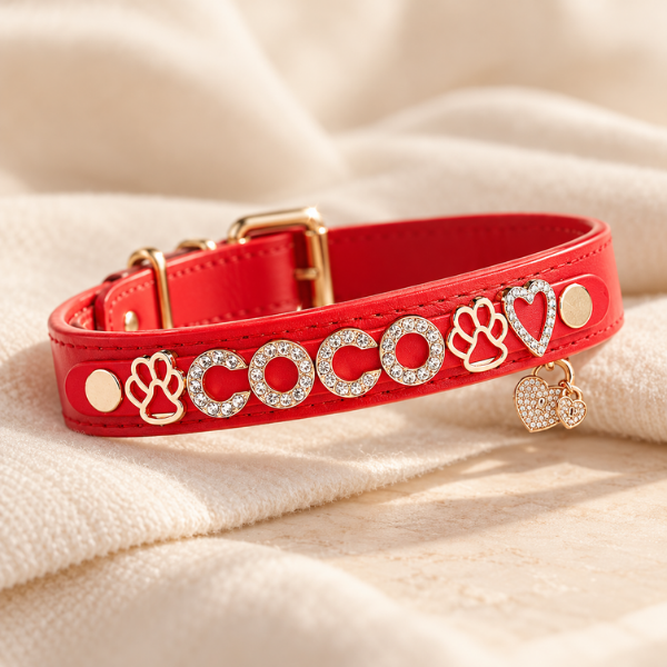 The Personalized Sparkle Collar