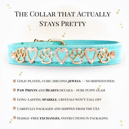 The Sparkle Collar - Turquoise