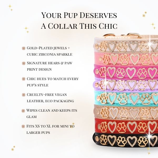 The Sparkle Collar - Sand