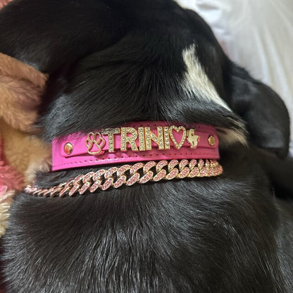 Cuban Link Dog Chain