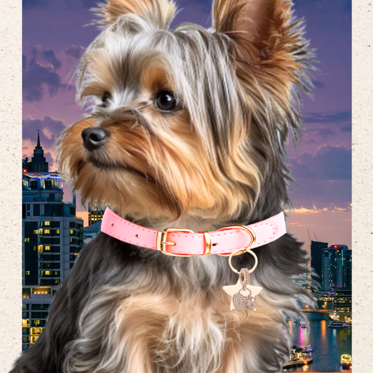 Bedazzled CZ Dog Collar Pendant Charms
