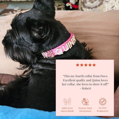 The Personalized Sparkle Collar