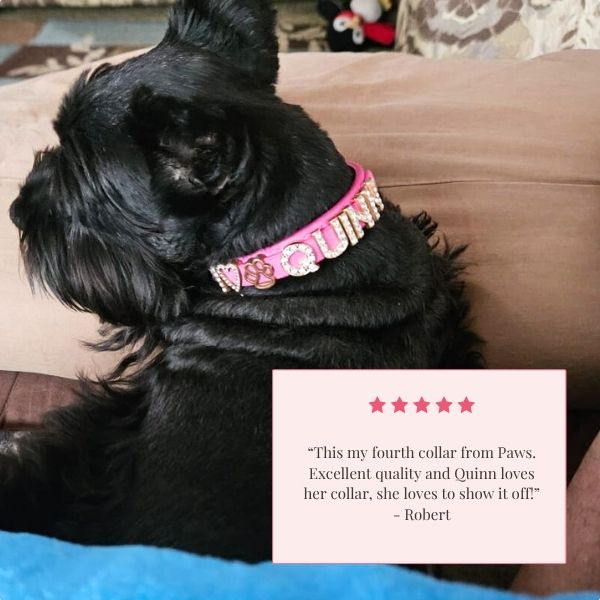 The Personalized Sparkle Collar