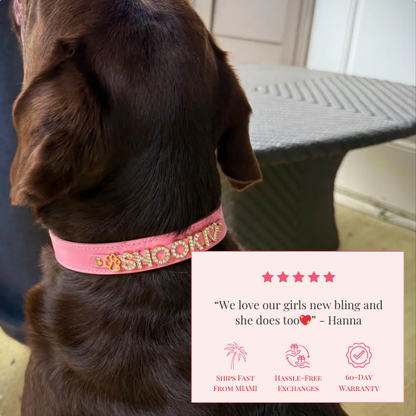 The Personalized Sparkle Collar