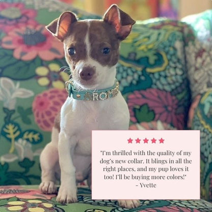 The Personalized Sparkle Collar