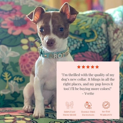 The Personalized Sparkle Collar
