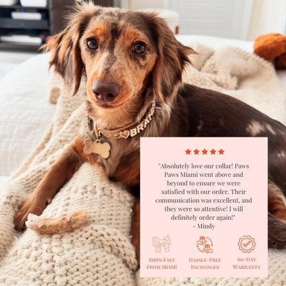 The Personalized Sparkle Collar