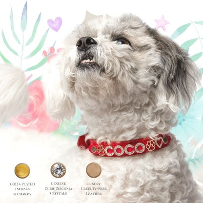 Small dog wearing a pink sparkle vegan leather collar with gold accents, Paws Paws Miami luxury pet accessory