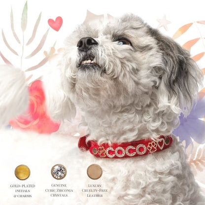 The Personalized Sparkle Collar
