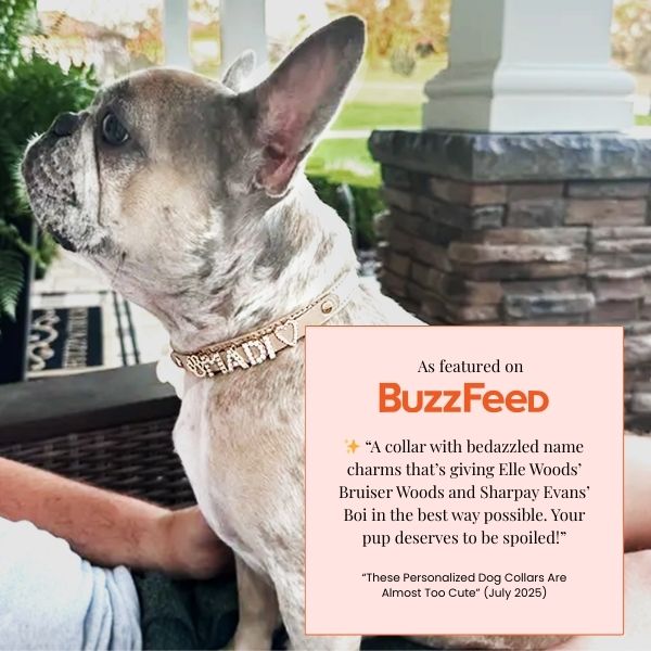 The Personalized Sparkle Collar