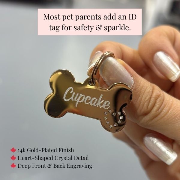 The Personalized Sparkle Collar