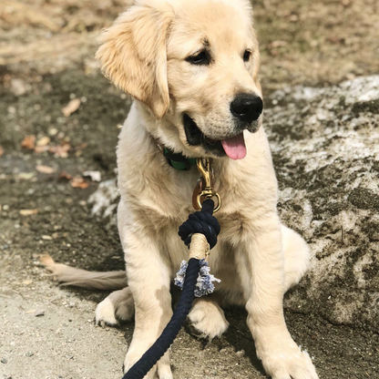 Braided Cotton Leash