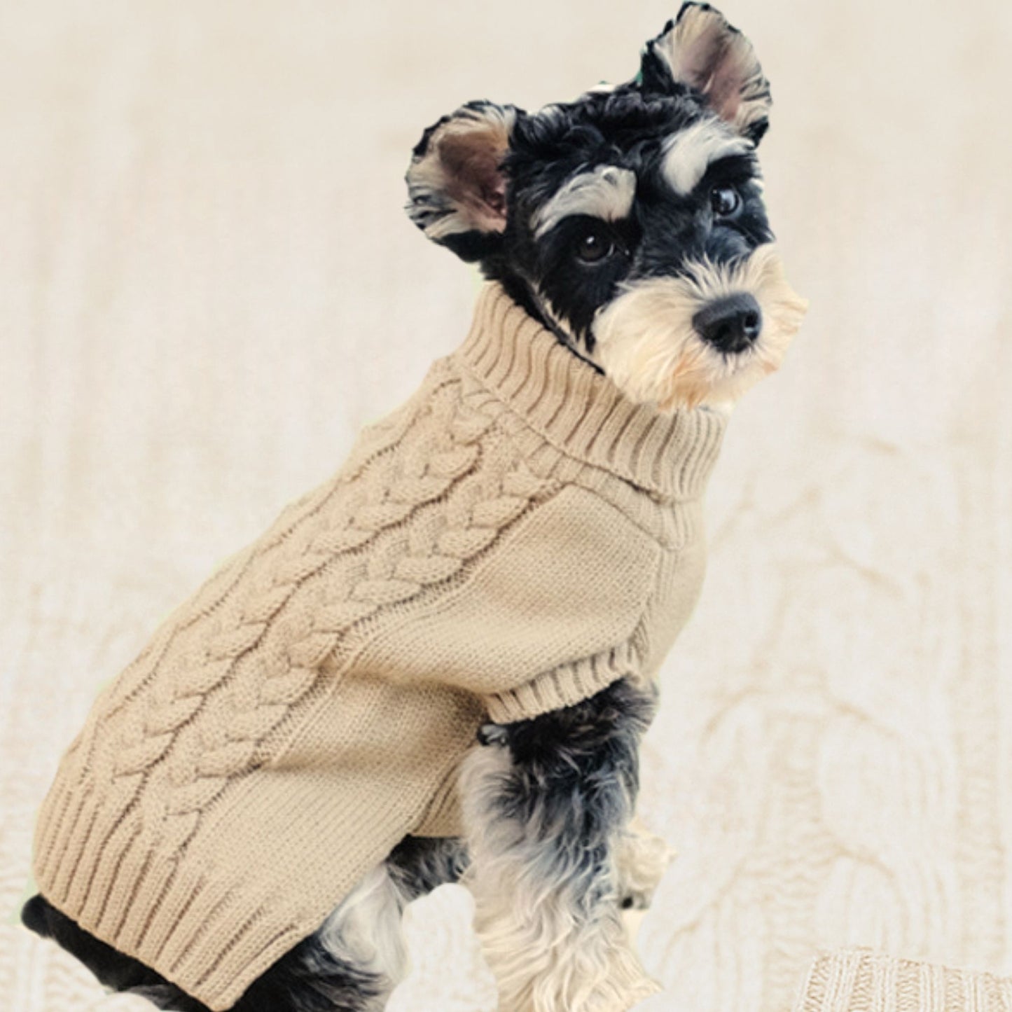 The “I Bark, Mom Buys” Sweater
