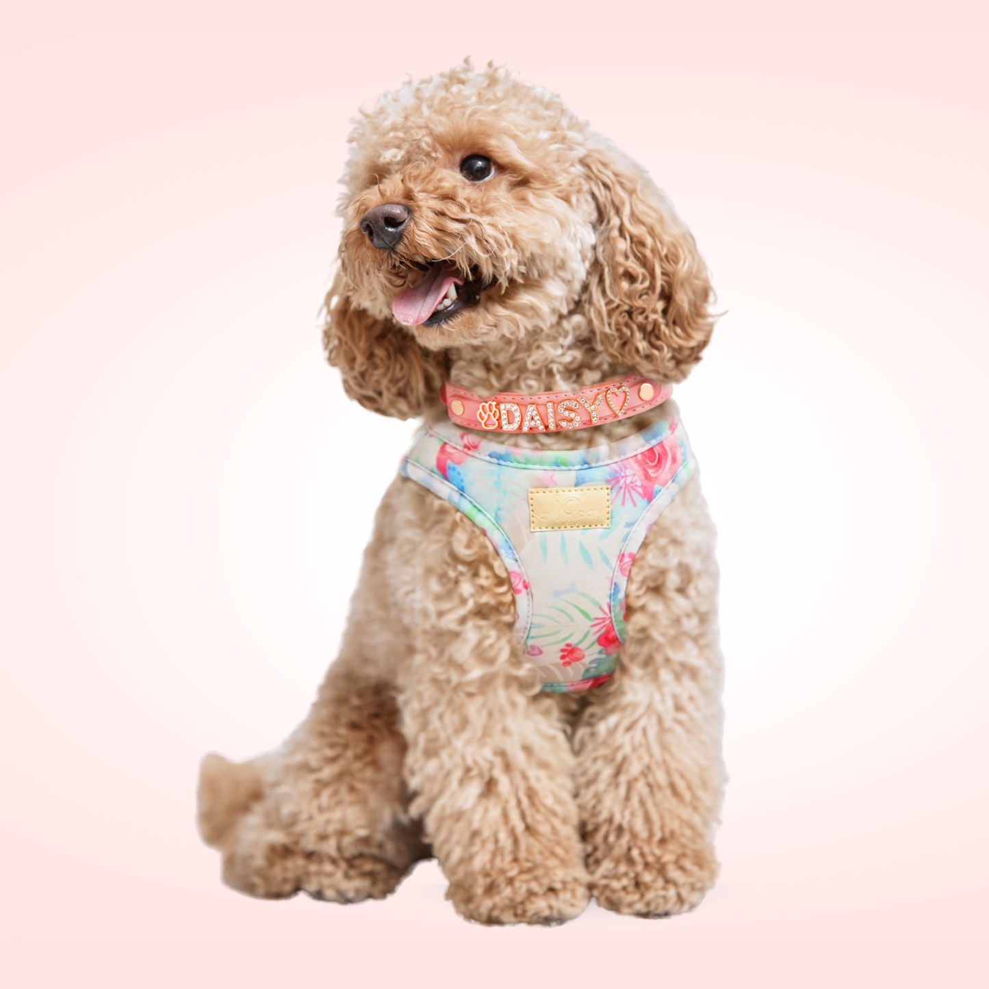 Step-In, No-Choke, Breathable Paws Paws Miami Floral Harness