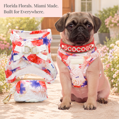 Step-In, No-Choke, Breathable Paws Paws Miami Floral Harness