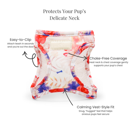 Step-In, No-Choke, Breathable Paws Paws Miami Floral Harness