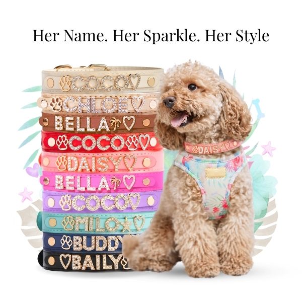 Personalized Sparkle Dog Collar with Name