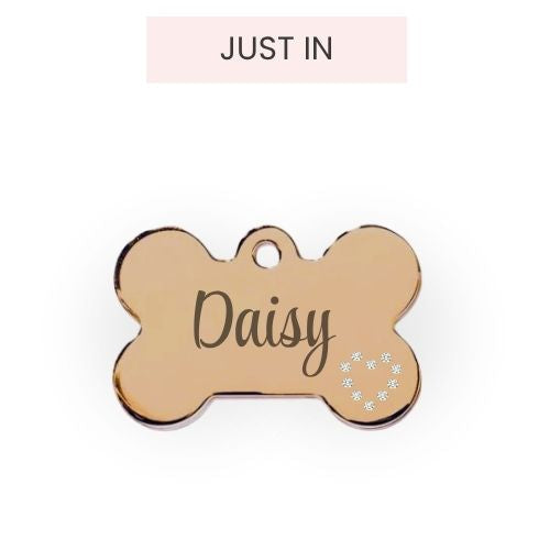 Gold bone-shaped engraved dog ID tag with the name Daisy, from Paws Paws Miami