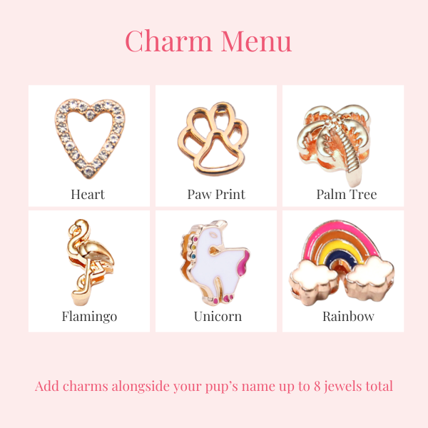 The Personalized Sparkle Collar