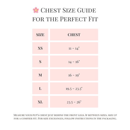 Step-In, No-Choke, Breathable Paws Paws Miami Floral Harness