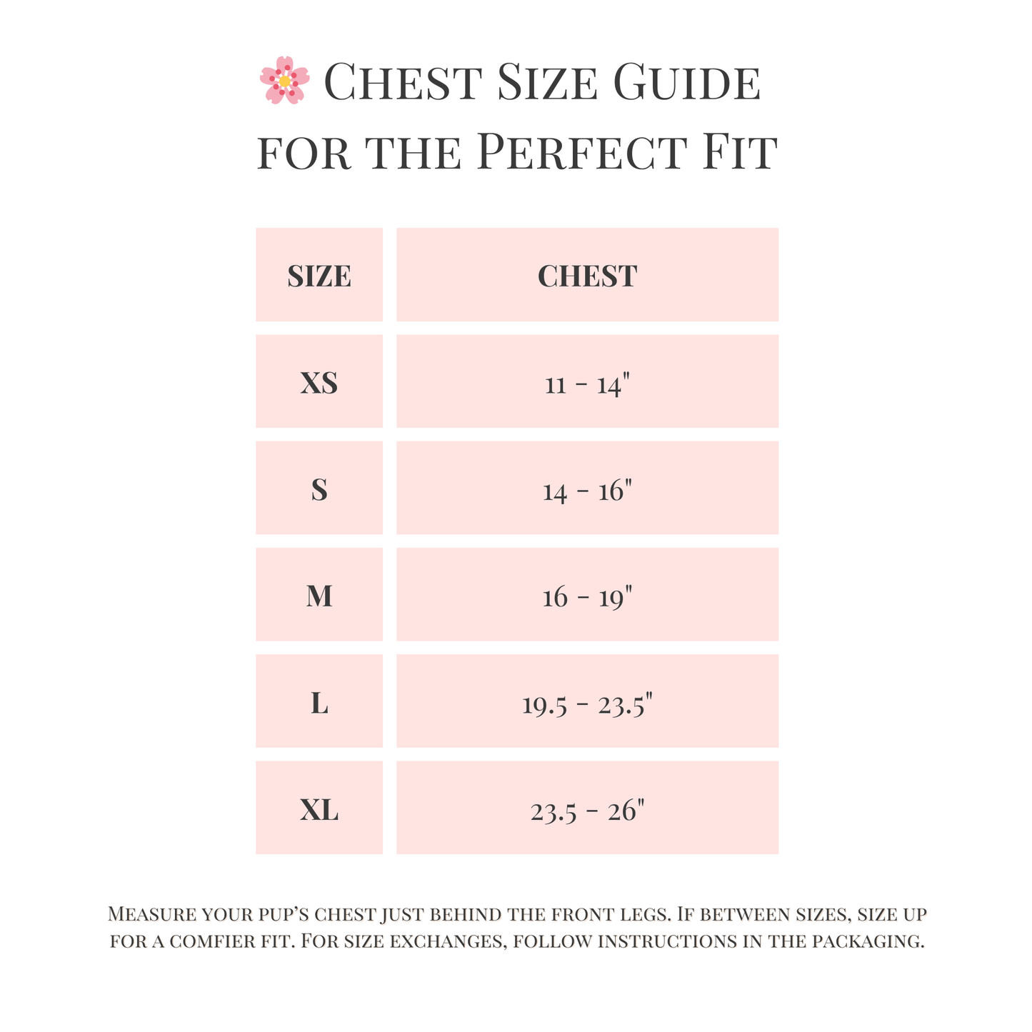 Step-In, No-Choke, Breathable Paws Paws Miami Floral Harness