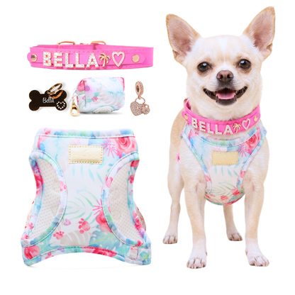 The Hot Pink Walk Set