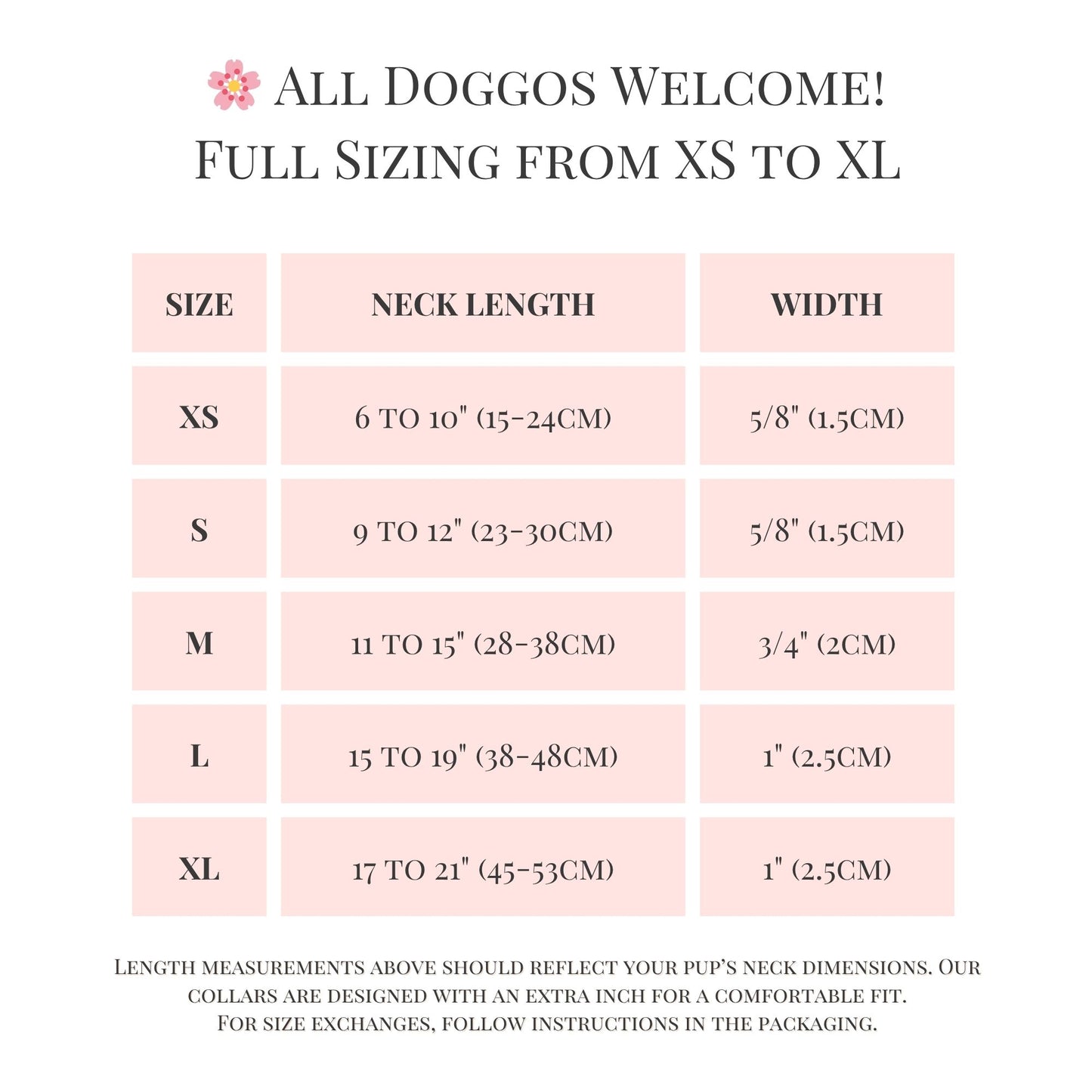 Personalized Sparkle Dog Collar with Name