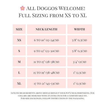 Personalized Sparkle Dog Collar with Name