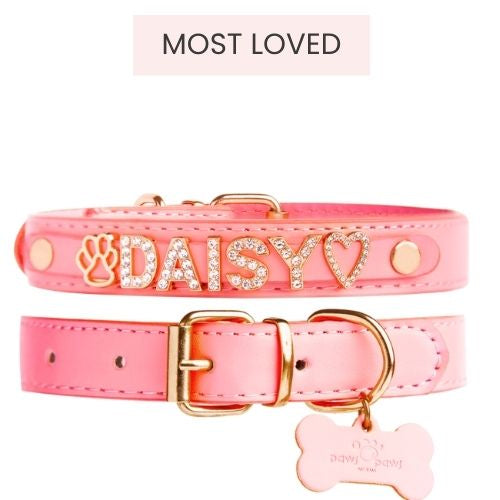 Pink vegan leather dog collar with gold-plated hardware and cubic zirconia, personalized with name Daisy, from Paws Paws Miami