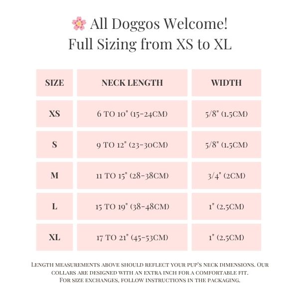 Personalized Sparkle Dog Collar with Name