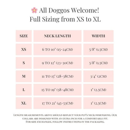 Personalized Sparkle Dog Collar with Name