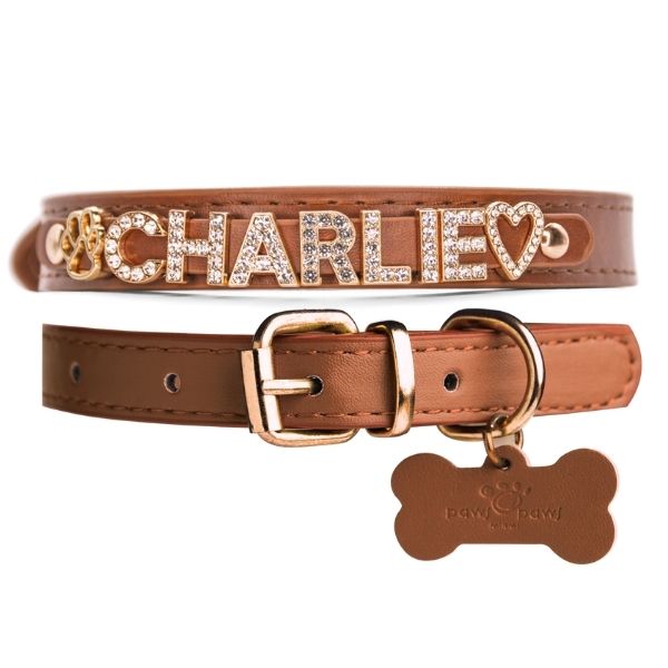 The Personalized Sparkle Collar