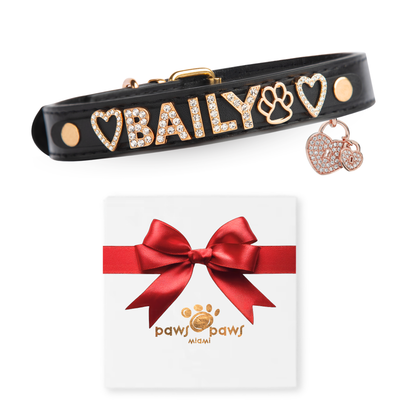 Mini Sparkle Gift Set – Collar, Heart Charm & Gift Box