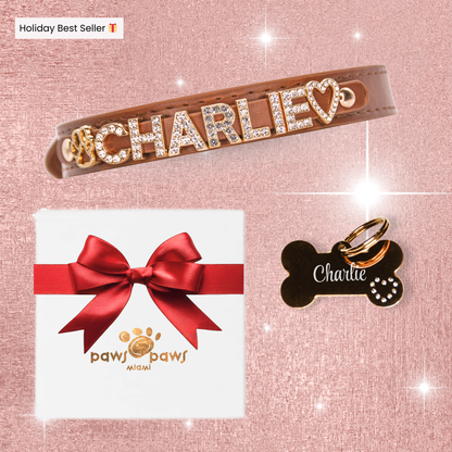 Classic Sparkle Gift Set – Collar, Engraved Tag & Gift Box