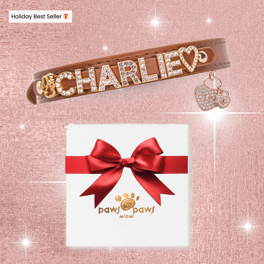 Mini Sparkle Gift Set – Collar, Heart Charm & Gift Box
