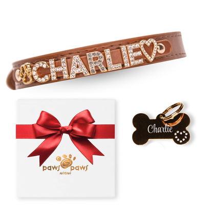 Classic Sparkle Gift Set – Collar, Engraved Tag & Gift Box
