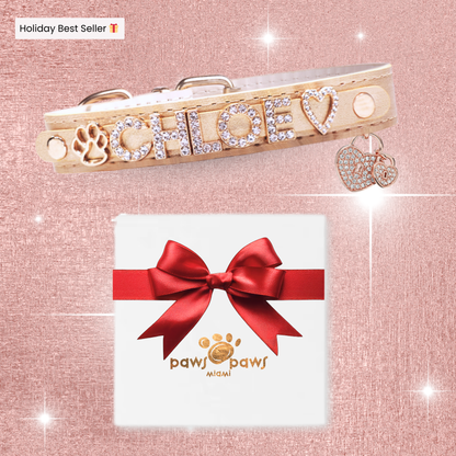 Mini Sparkle Gift Set – Collar, Heart Charm & Gift Box