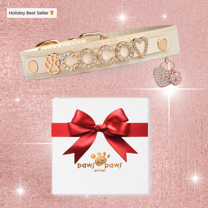 Mini Sparkle Gift Set – Collar, Heart Charm & Gift Box