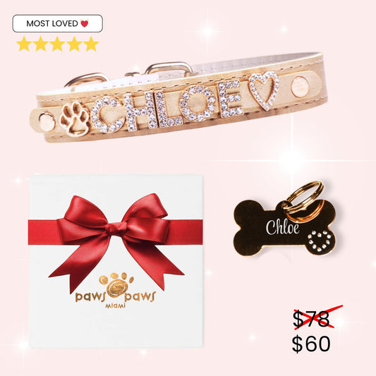 Classic Sparkle Gift Set – Collar, Engraved Tag & Gift Box